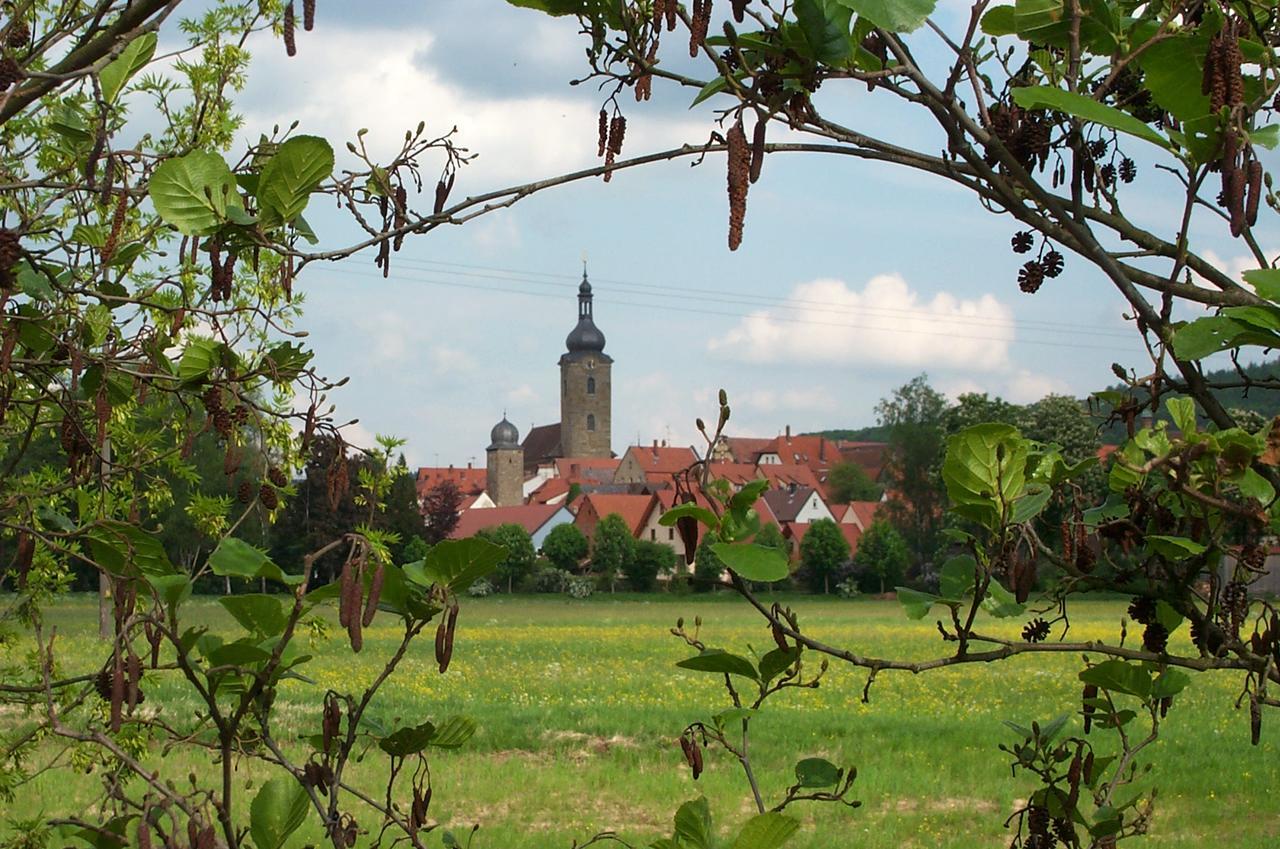 Ferienhaus Villa Korn Ebern エクステリア 写真